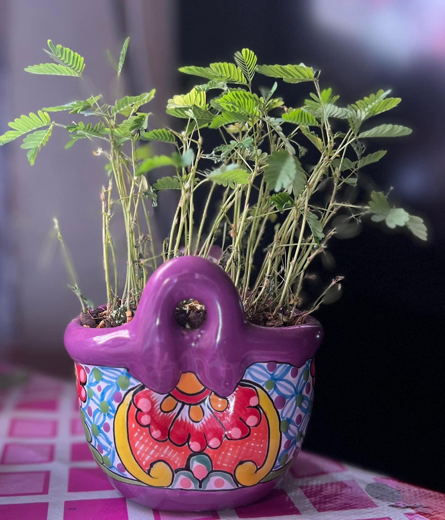 Talavera Plant Pot