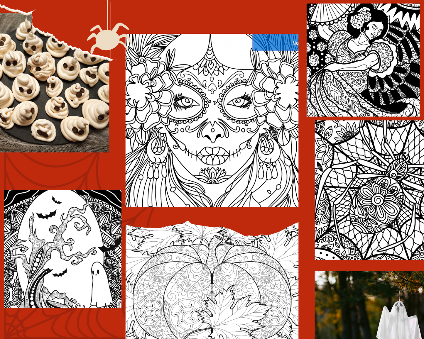 [DIGITAL] 5 Halloween Coloring Pages